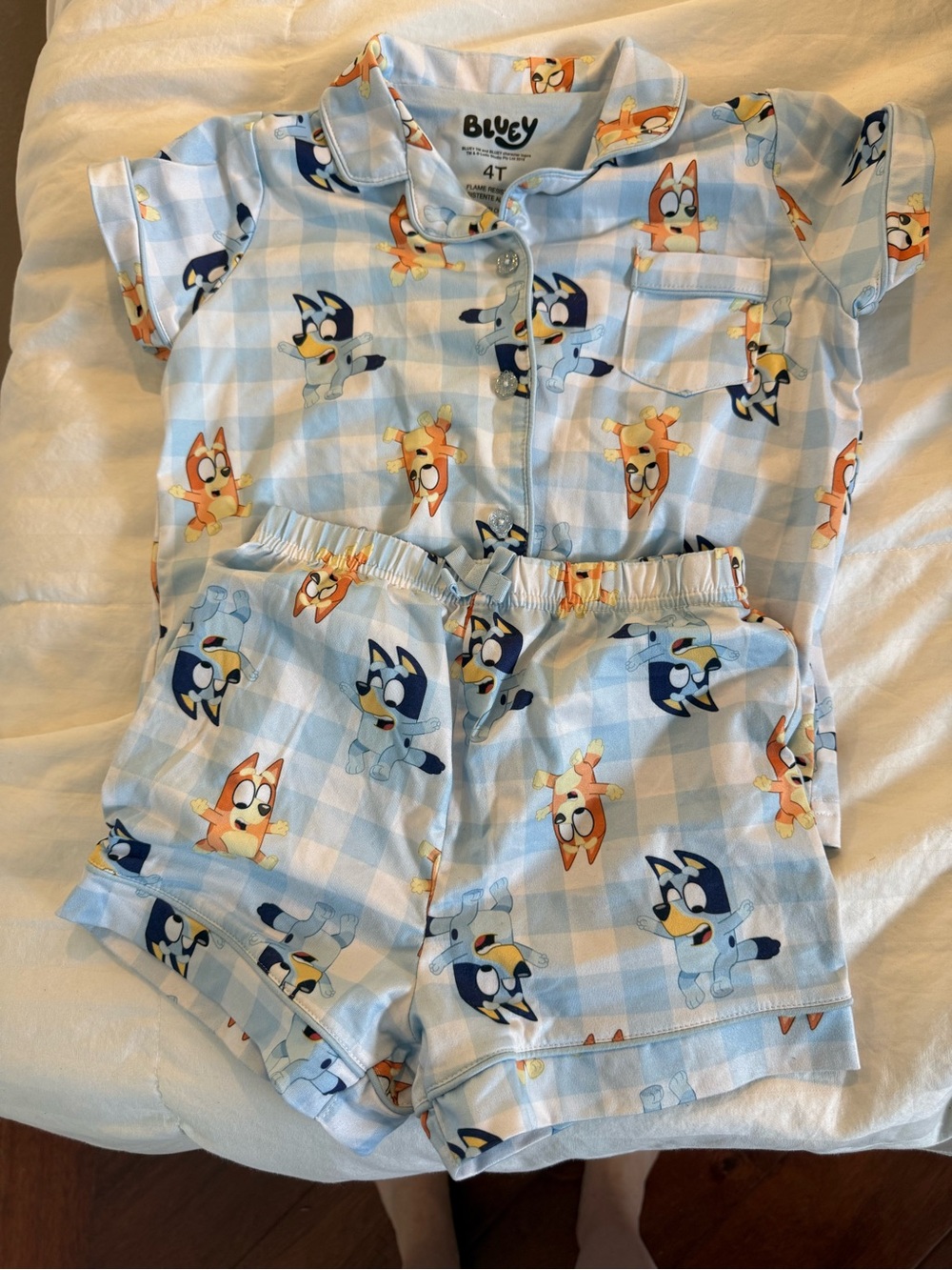 Nickelodeon Bluey Light Blue and White Check Short Pajama Set